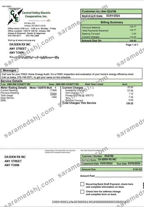 USA CENTRAL VALLEY ELECTRIC business utility bill Word and PDF template
